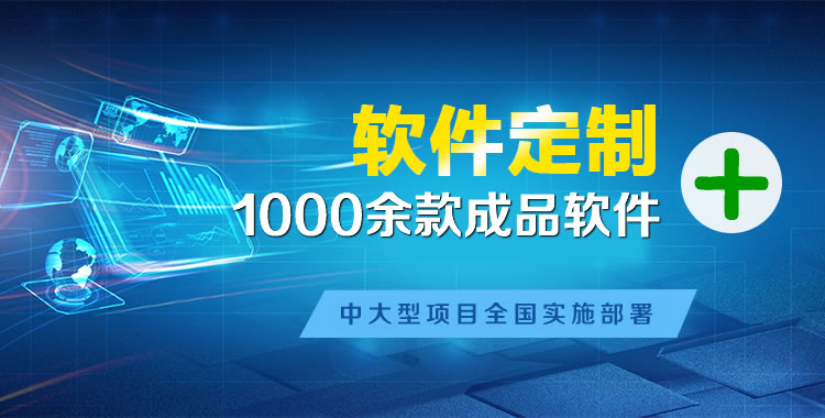 大东软件开发
